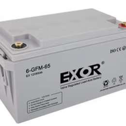EXOR蓄电池EX65-12/12V65AH